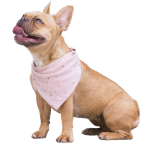 Bandanas